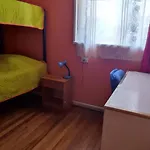 Gatos De Campo, Tiernos Y Traviesos