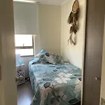 Zen Suite