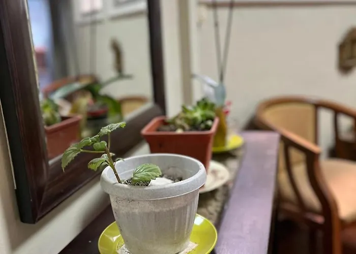 Providencia Vibes - Habitacion Con Bano Privado