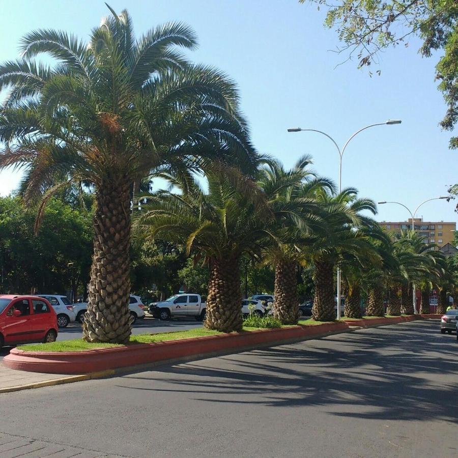 Casa Dos Leones Inn *