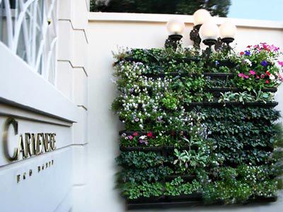 Khách sạn Carmenere Ecohotel 3*