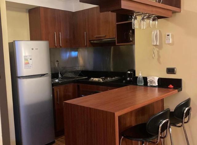 Espacio M Providencia Apartment