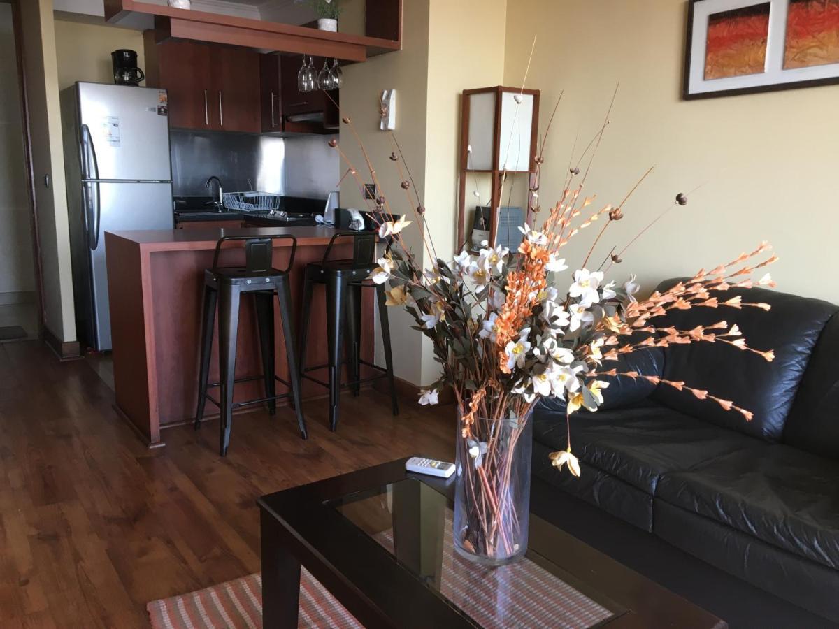 Espacio M Providencia Apartment