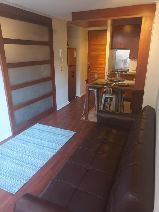 Acogedor Y Renovado Departamento Santiago de Chile