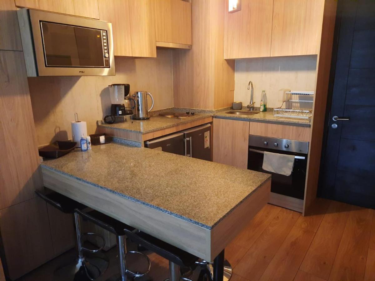 Apartment Centro - Dpto Boutique Con Patio Privado Santiago