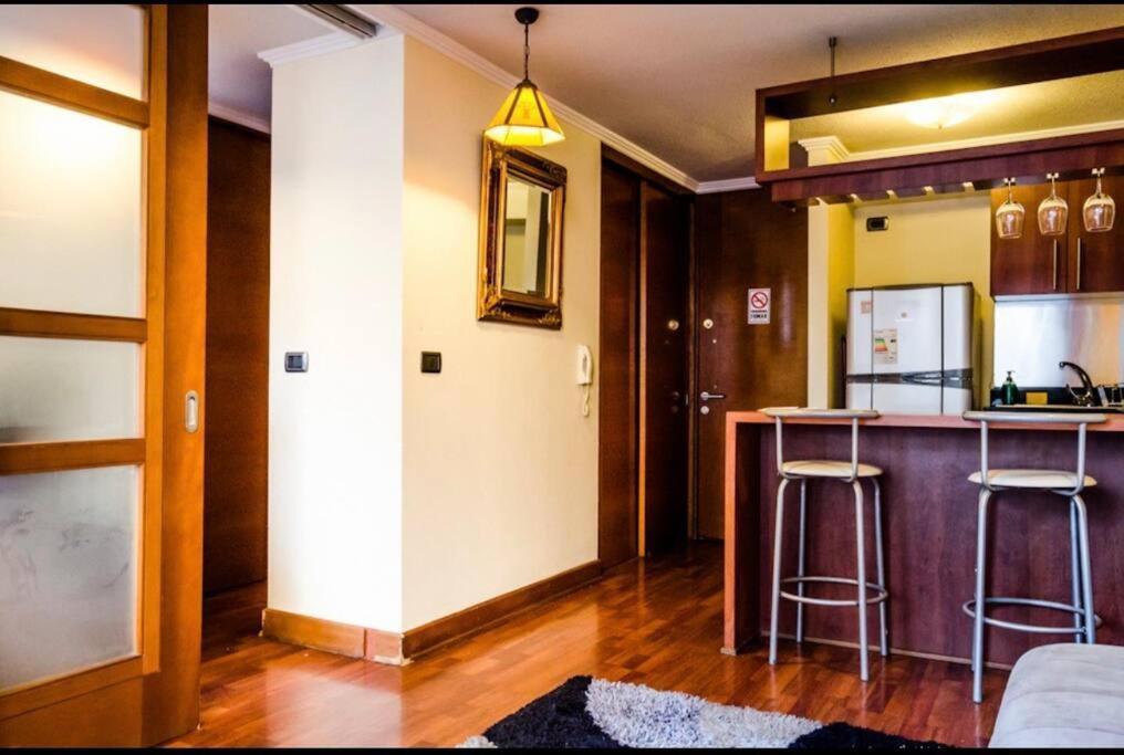 Apartment Estupendo Depto, Ambiente Tranquilo En Providencia