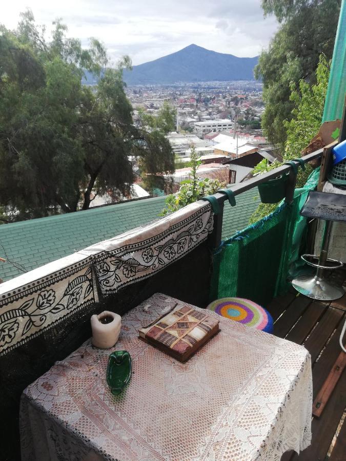 Nuevovalpo Hillside Homestay Bed & Breakfast Santiago