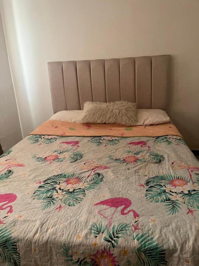 Apartamento Lindo En Depto Condes / Estacionamiento