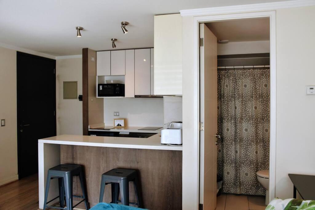 Apartment Arauco *