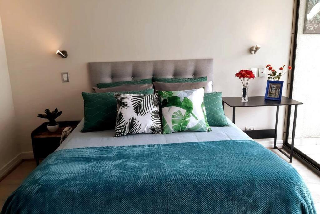 Apartment Arauco *