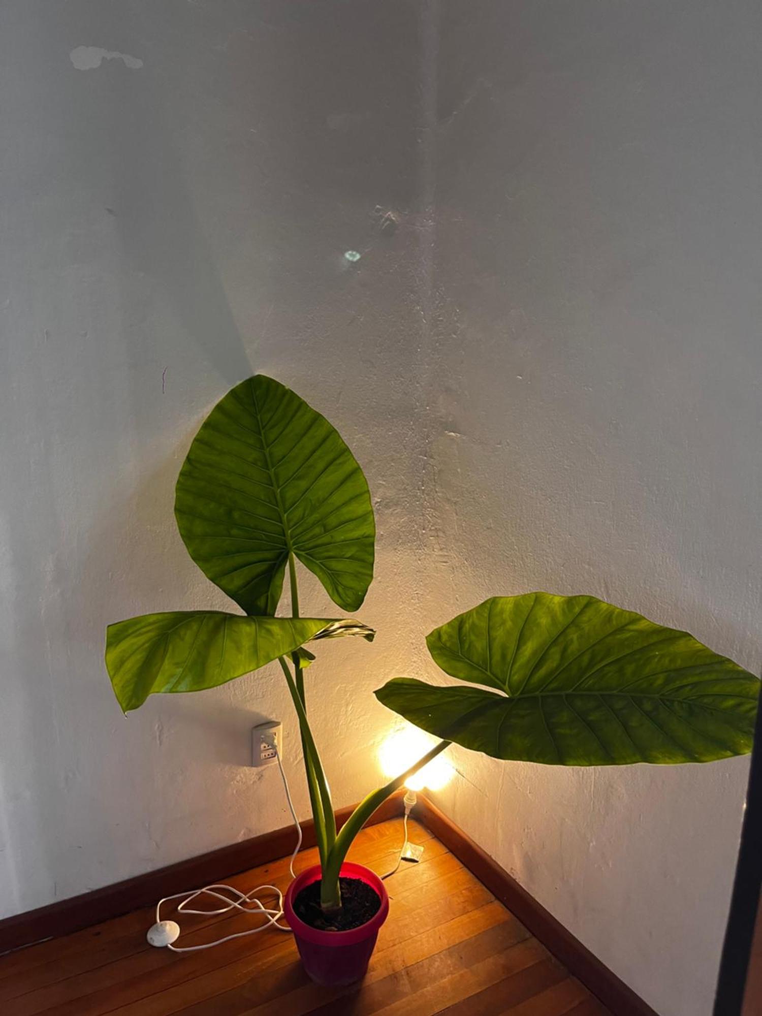 Departamento Estudio En Zona Centrica Căn hộ Santiago