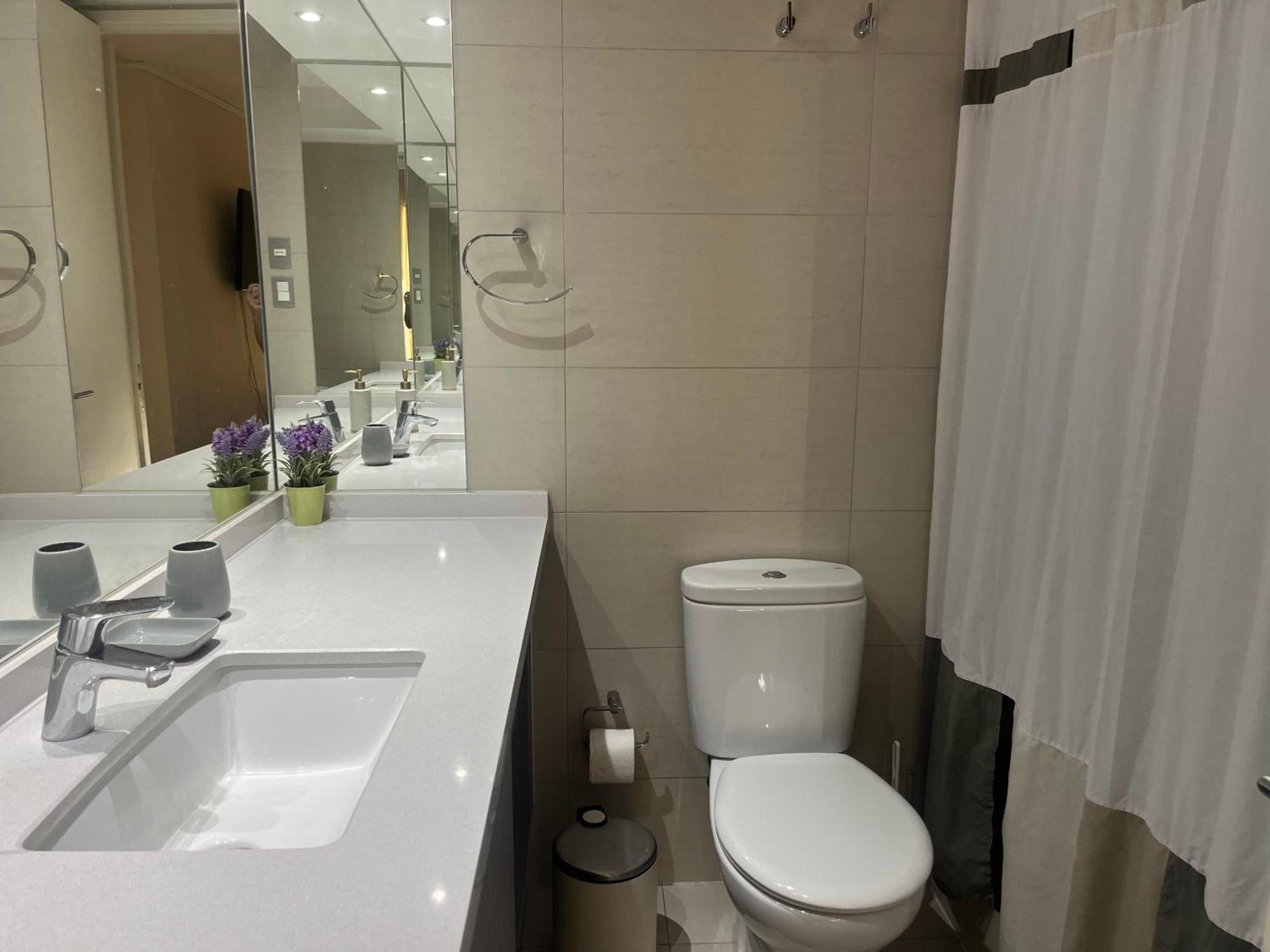 Apartamento De Lujo Departamento Santiago