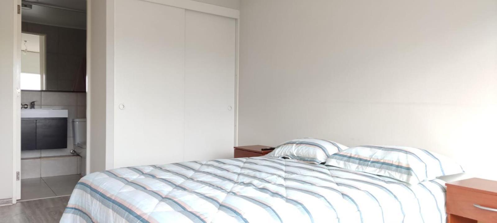 Acogedor Departamento 2 Y 2 Banos De Chile Santiago