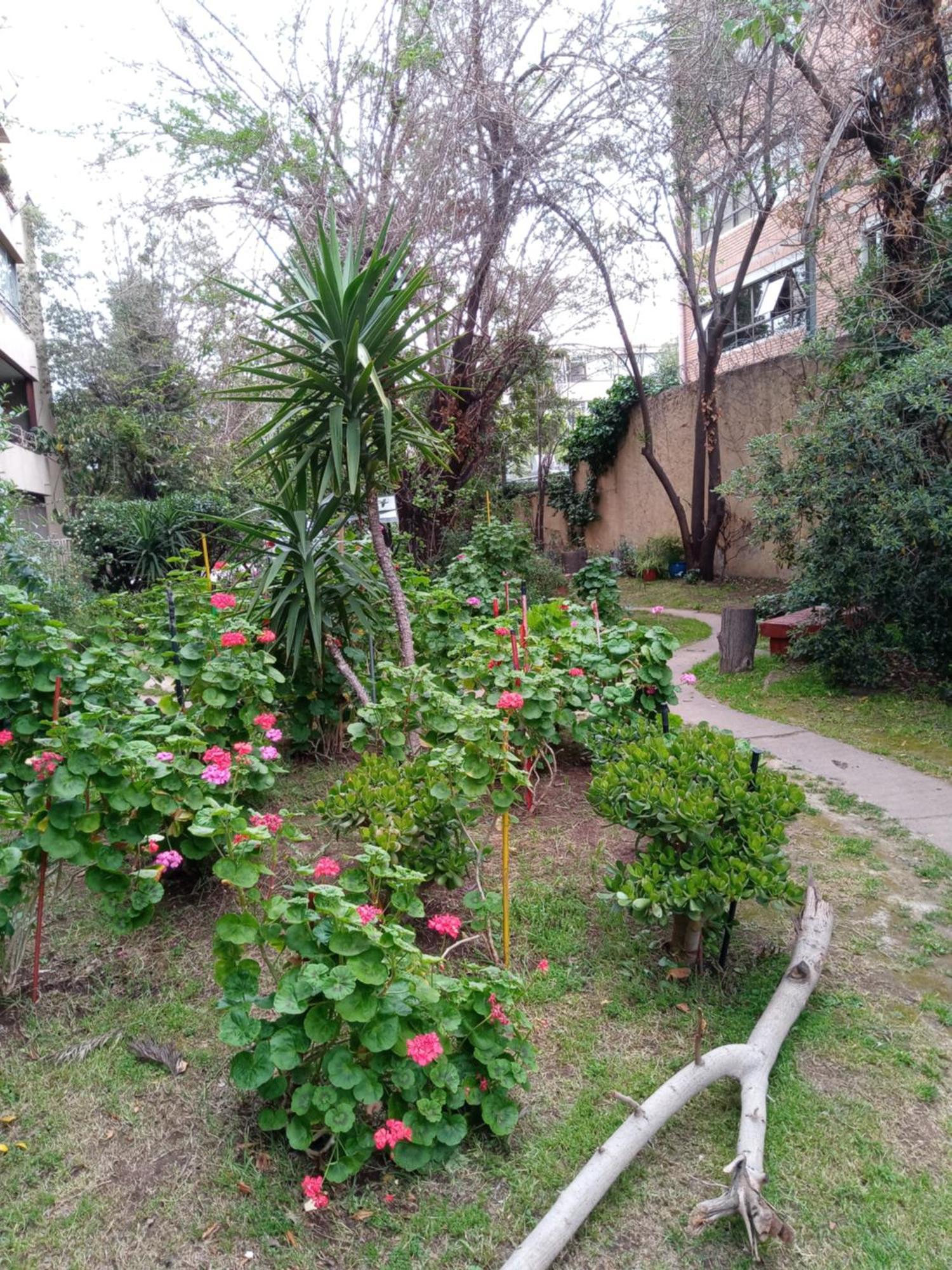 Refugio Del Artista Apartamento *