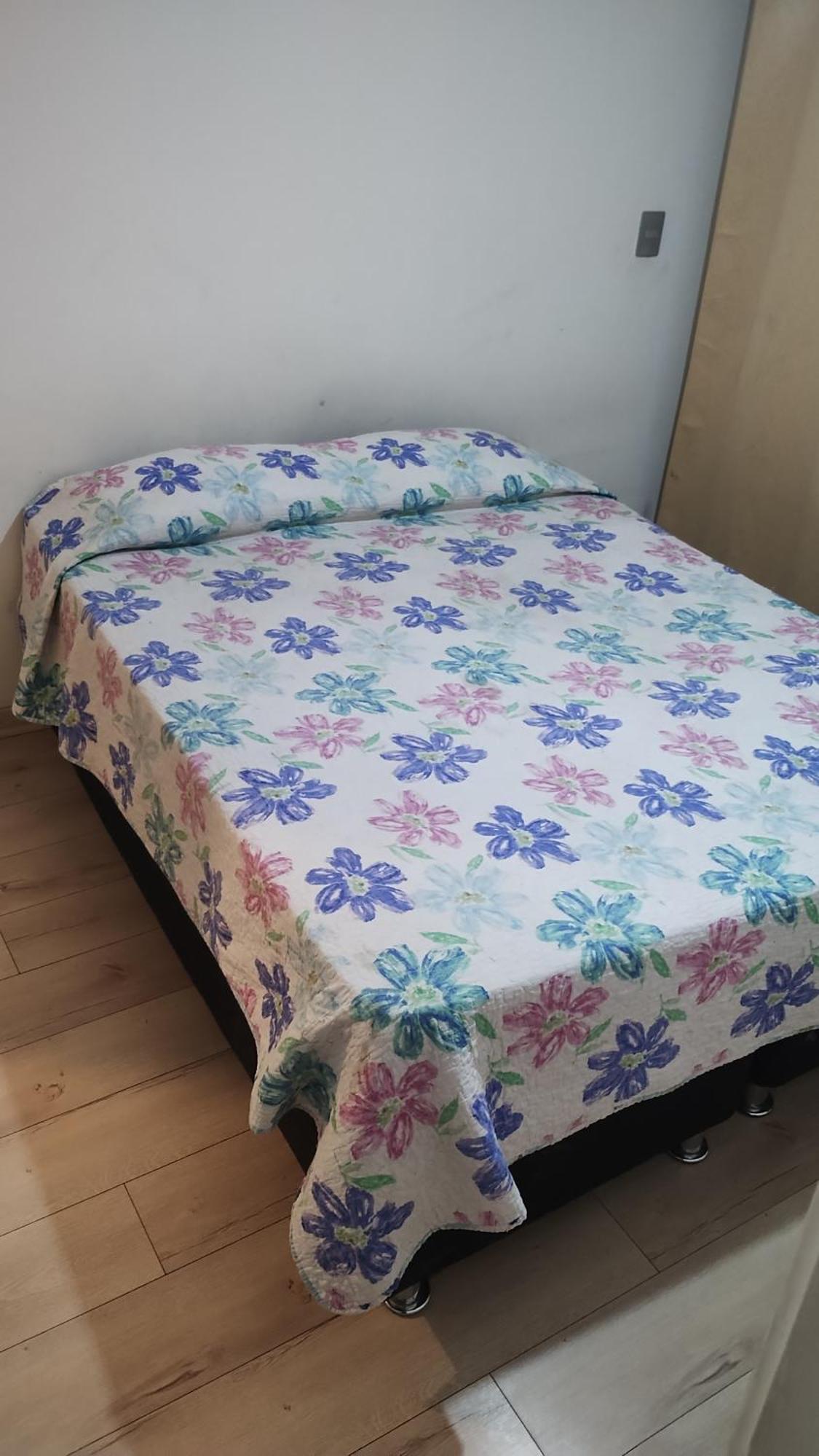 Apartamento Arriendo De Dpto Por Dia O Mensual Centrico Santiago de Chile