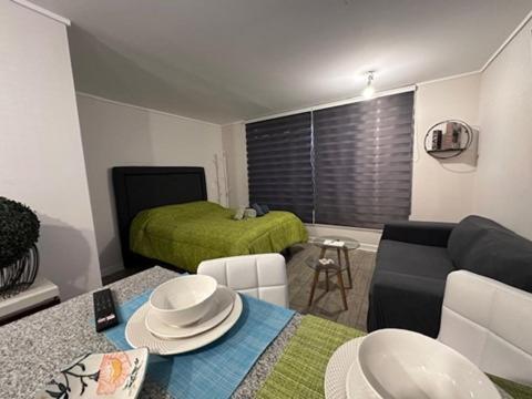 Apartamento Depto/2p/business Trip/equipado. Santiago de Chile