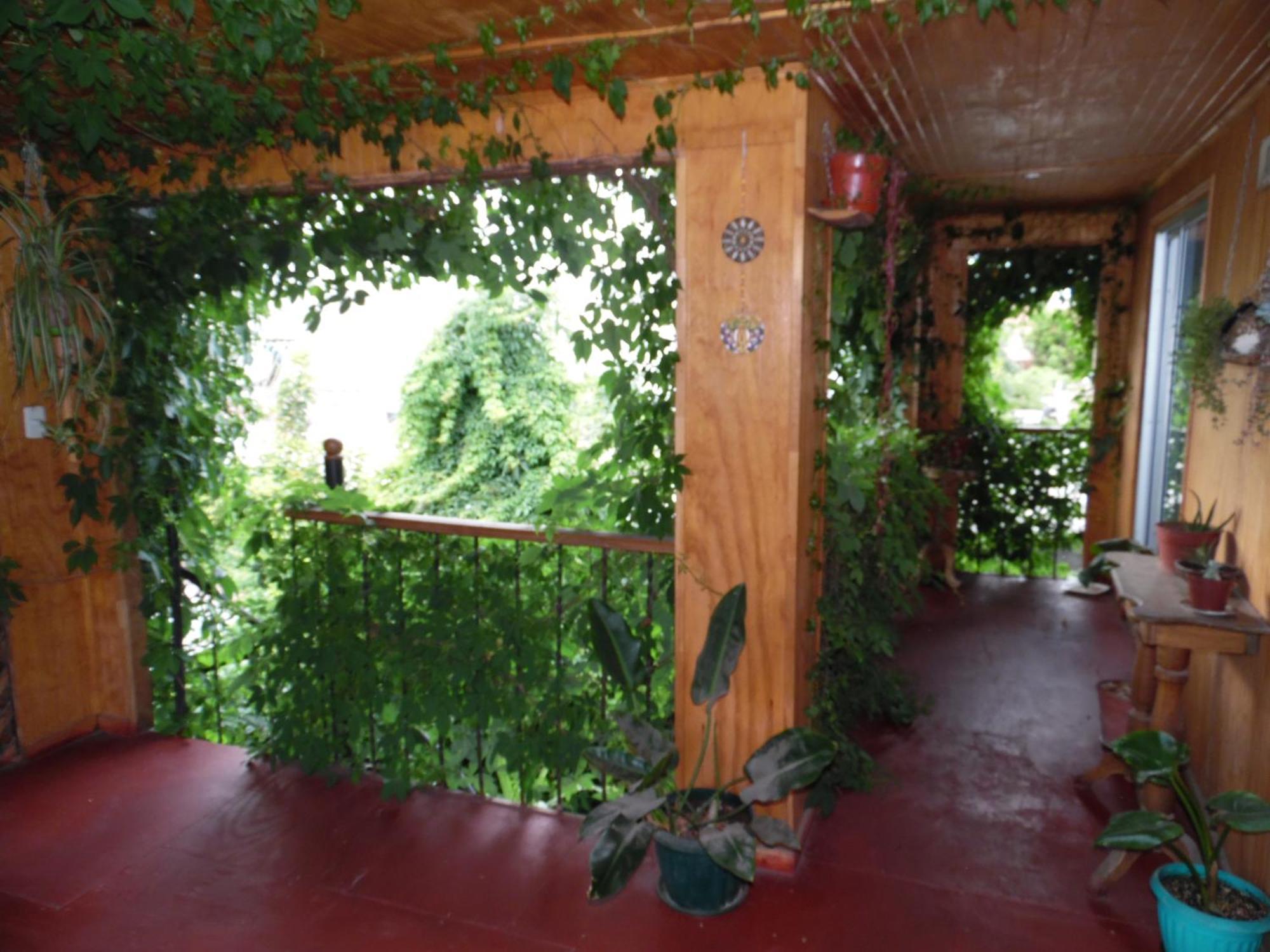 Molino Rojo