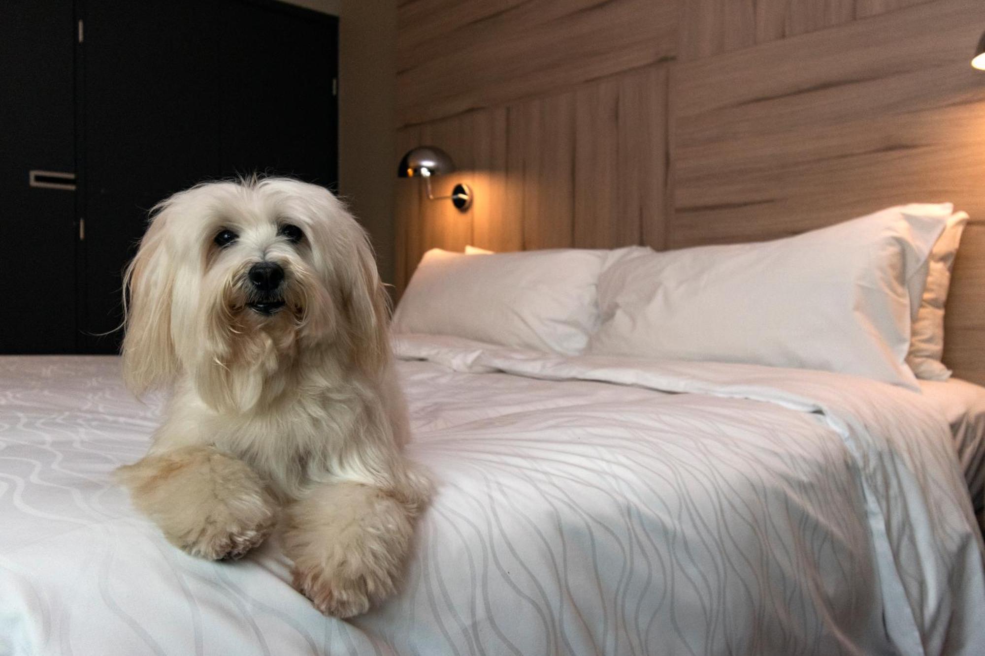 Pullman Vitacura 5*