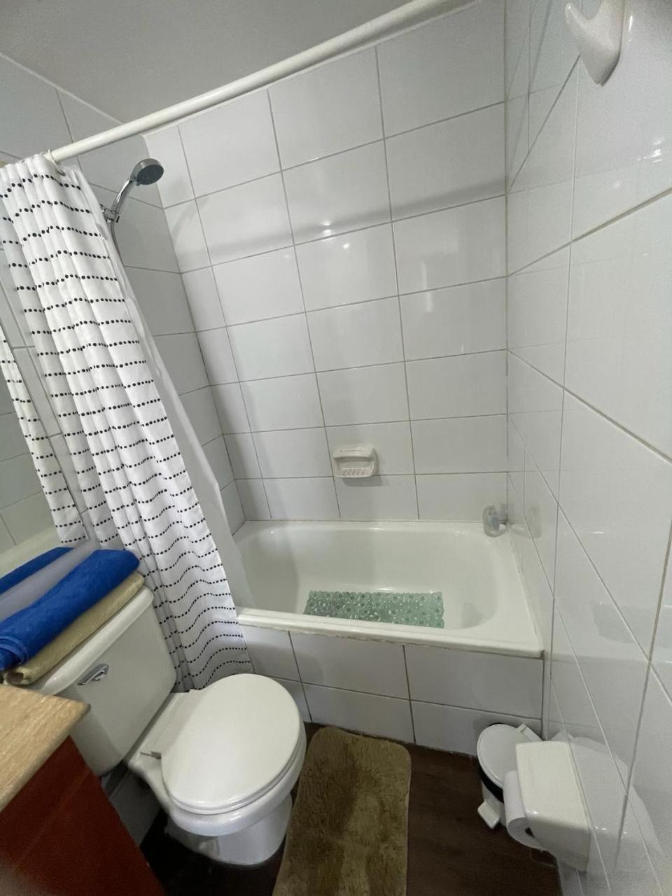 Departamento De 1 Dormitorio Apartment Santiago