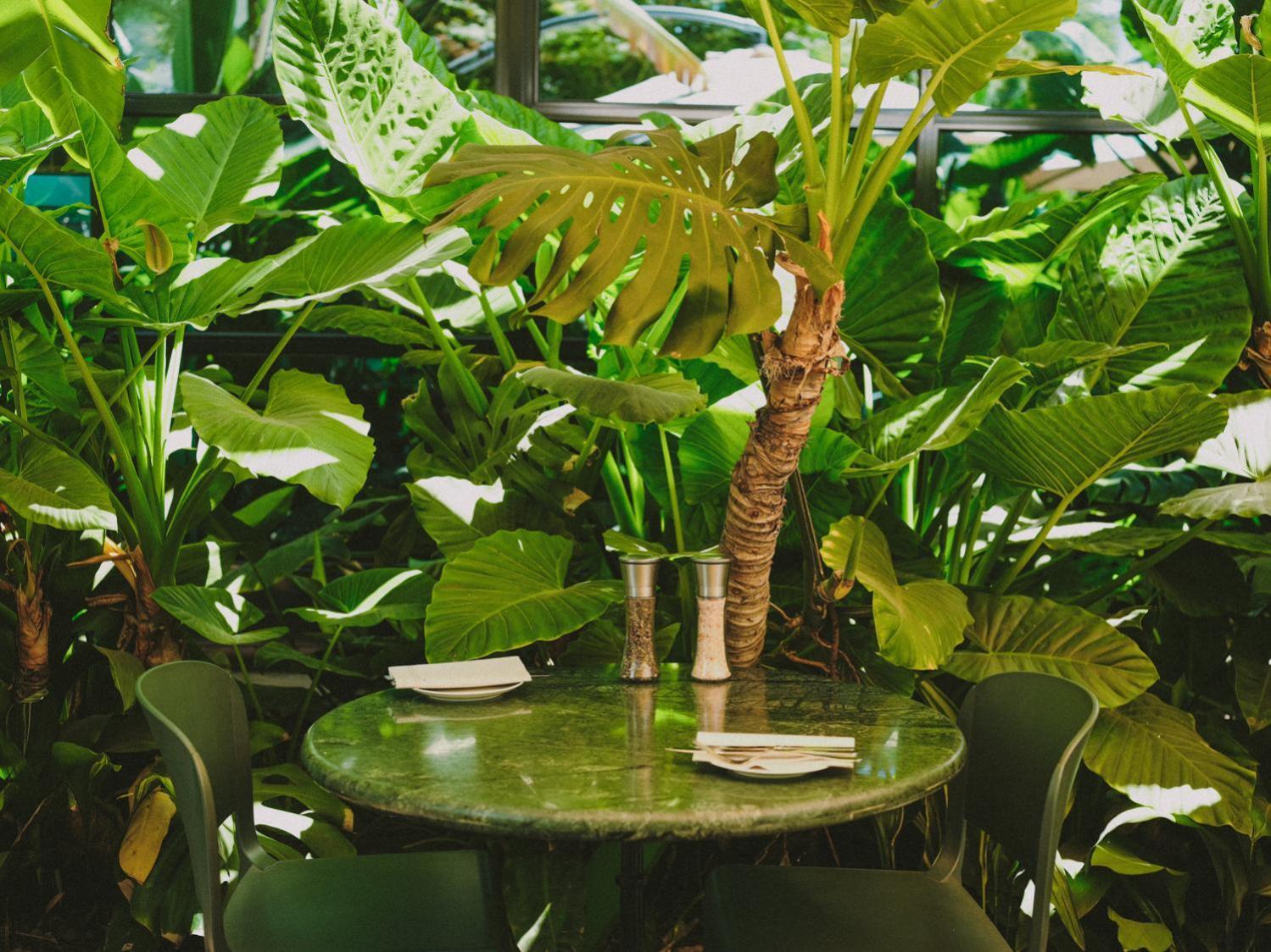 Eco Boutique Bidasoa Hotel