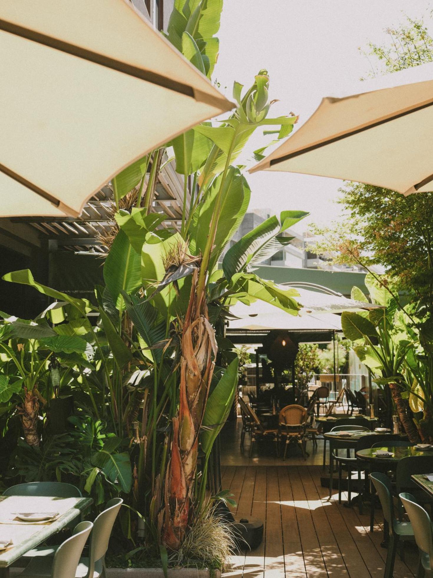 Eco Boutique Bidasoa Hotel