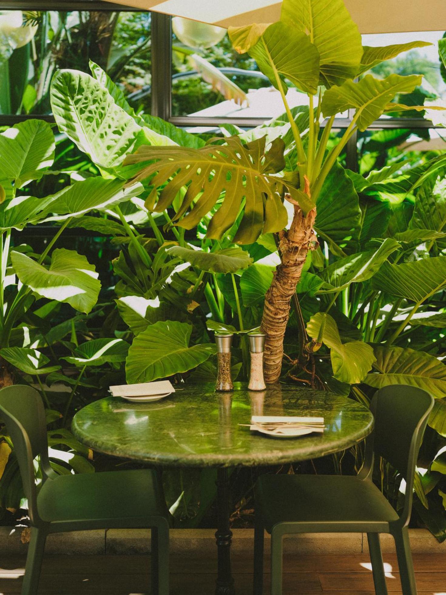 Eco Boutique Bidasoa 4* Santiago