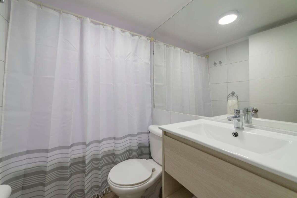 Cozy Space In The Center Of The City * Santiago