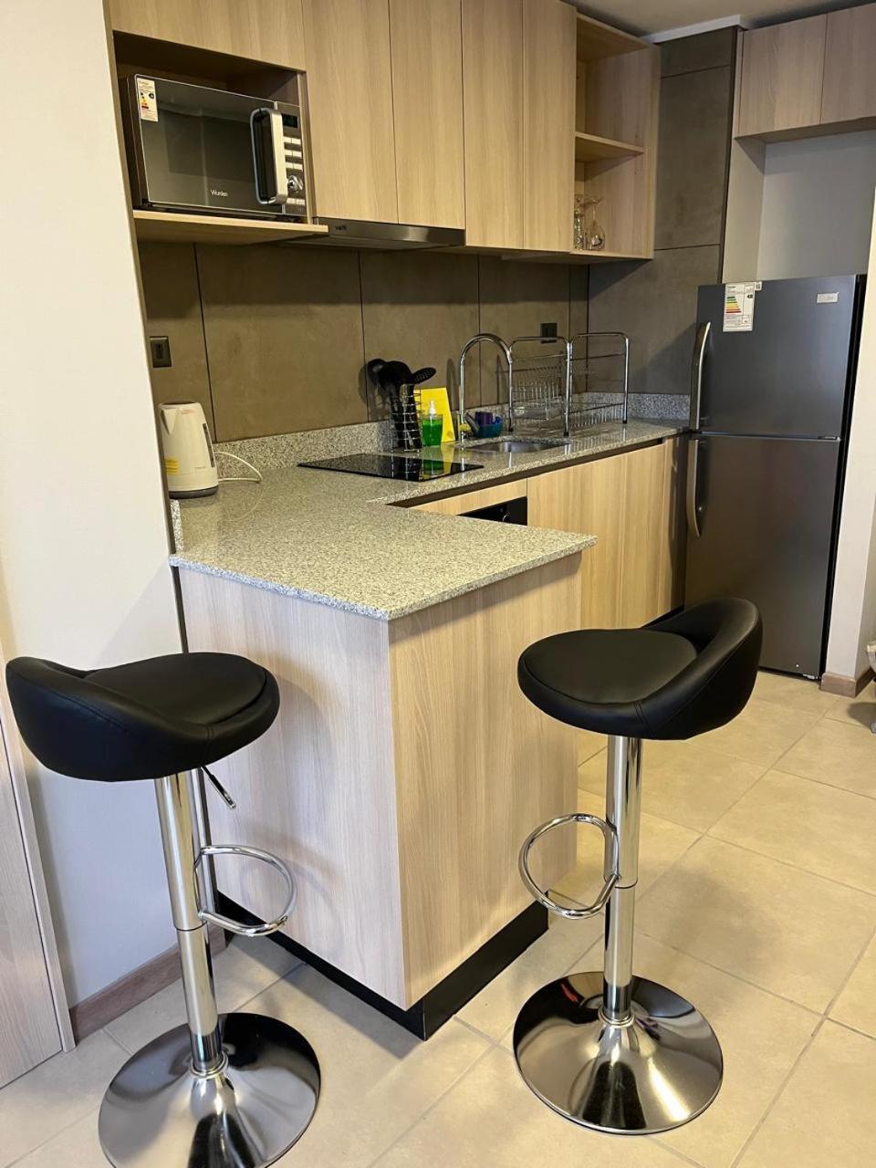 Apartment 914 Depto Pudeto 2 Personas Santiago