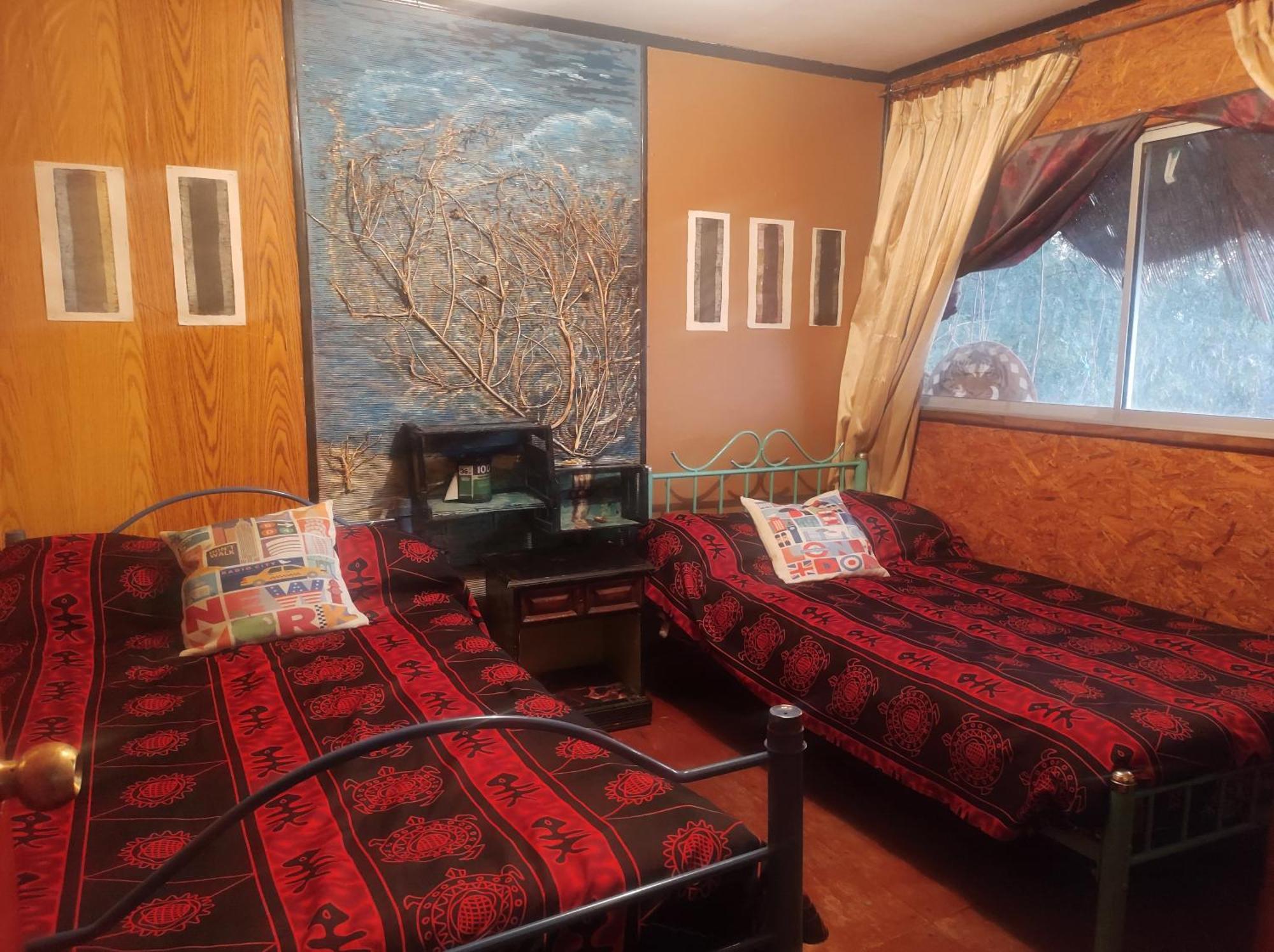 Bed & Breakfast Nuevovalpo Hillside Homestay Santiago