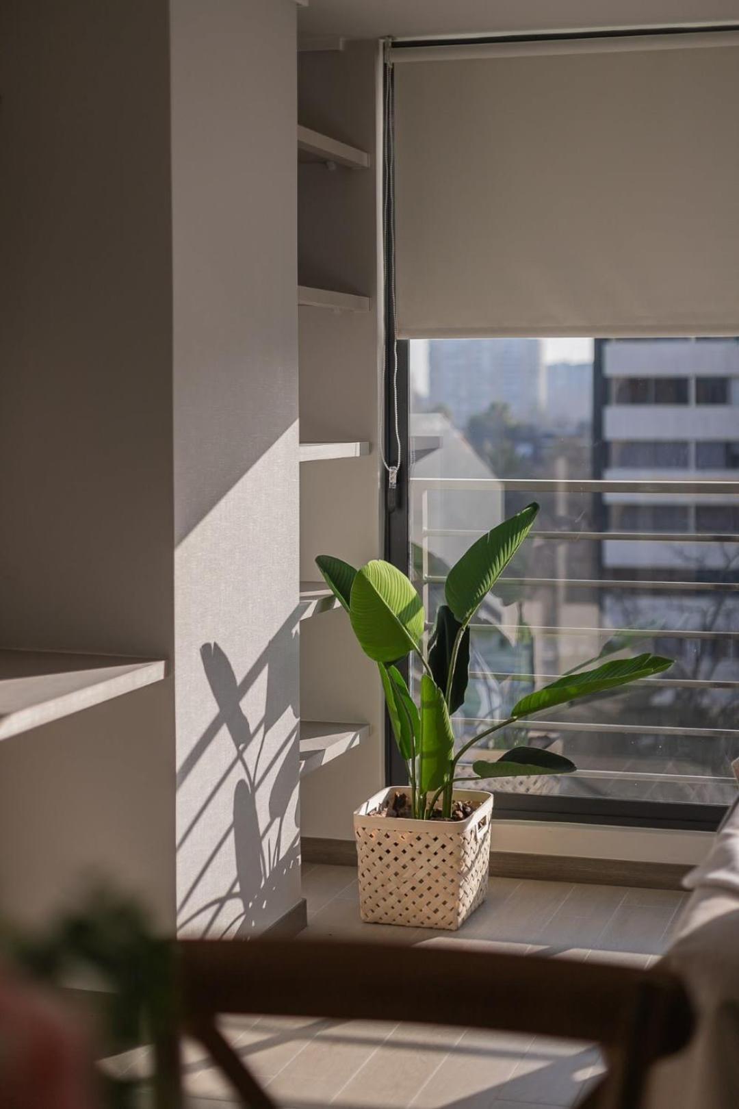 Apartment Cozy In The Heart Of Nunoa Perfect For Two Santiago