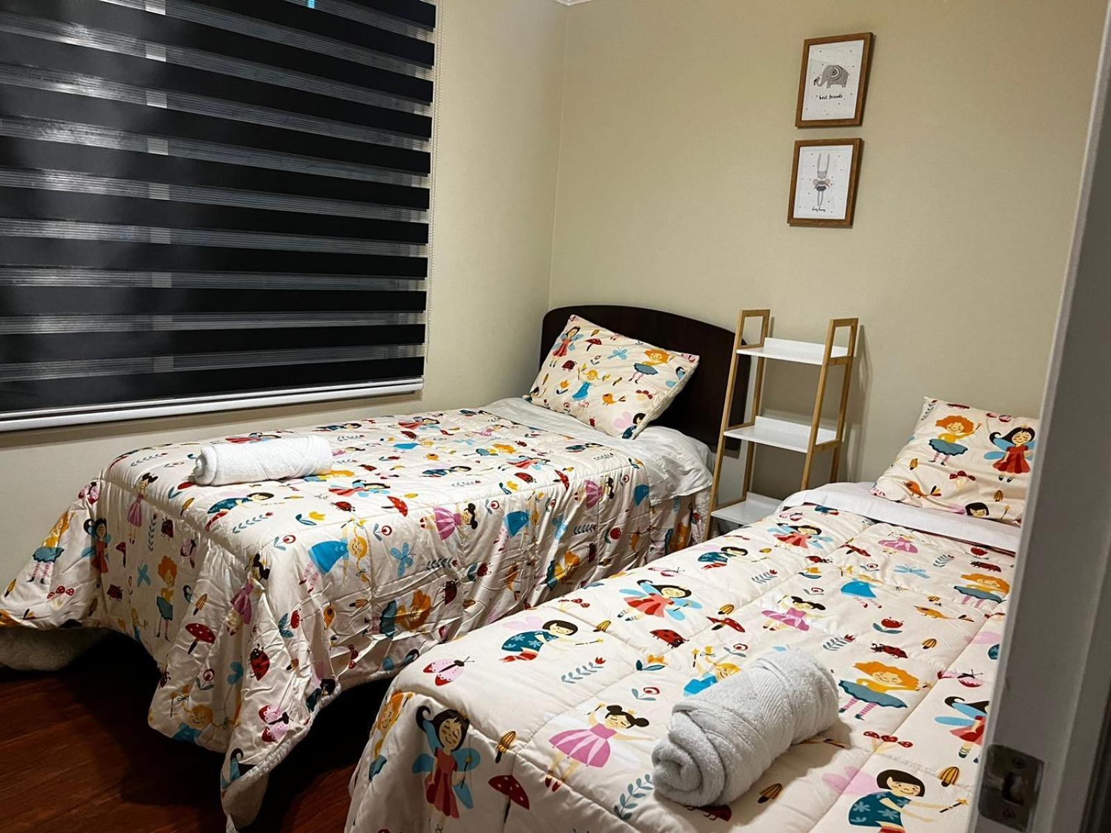 Big Downtown Apartment Santiago
