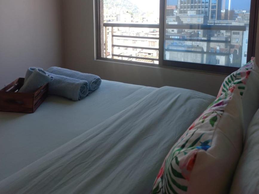 Comodo Departamento En Barrio Bellas Artes Apartamento Santiago