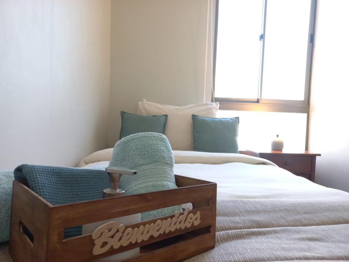 Apartamento Comodo Departamento En Barrio Bellas Artes Santiago