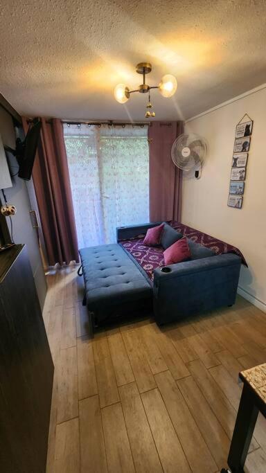 Arena Apartment *