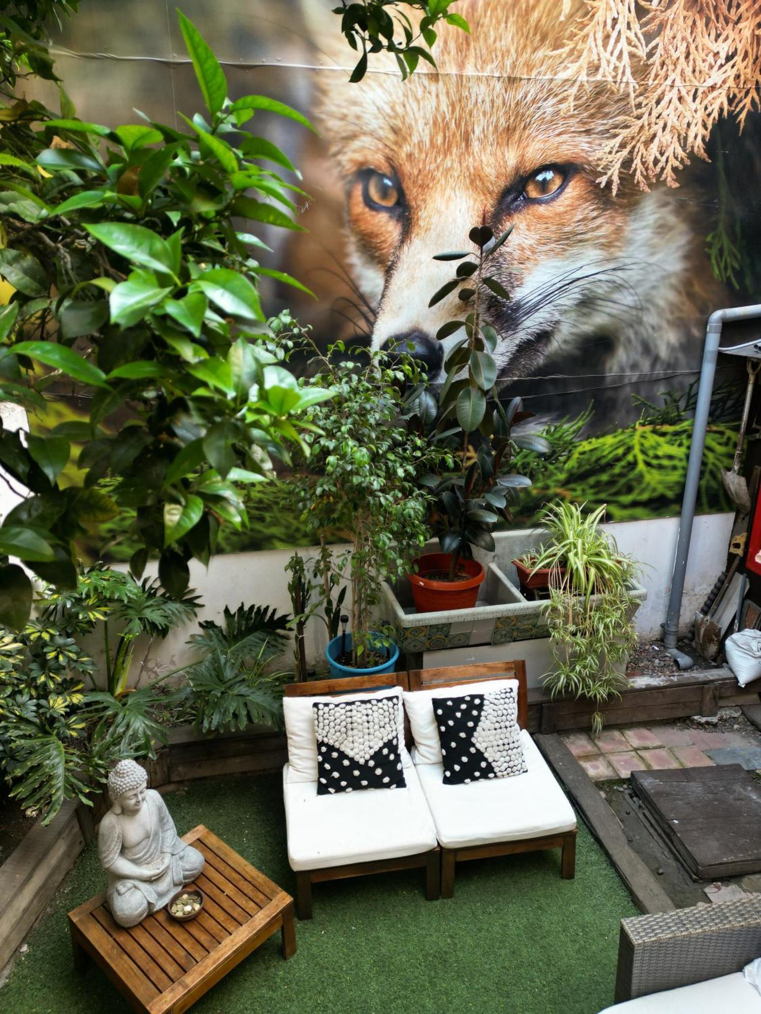 The Fox Santiago