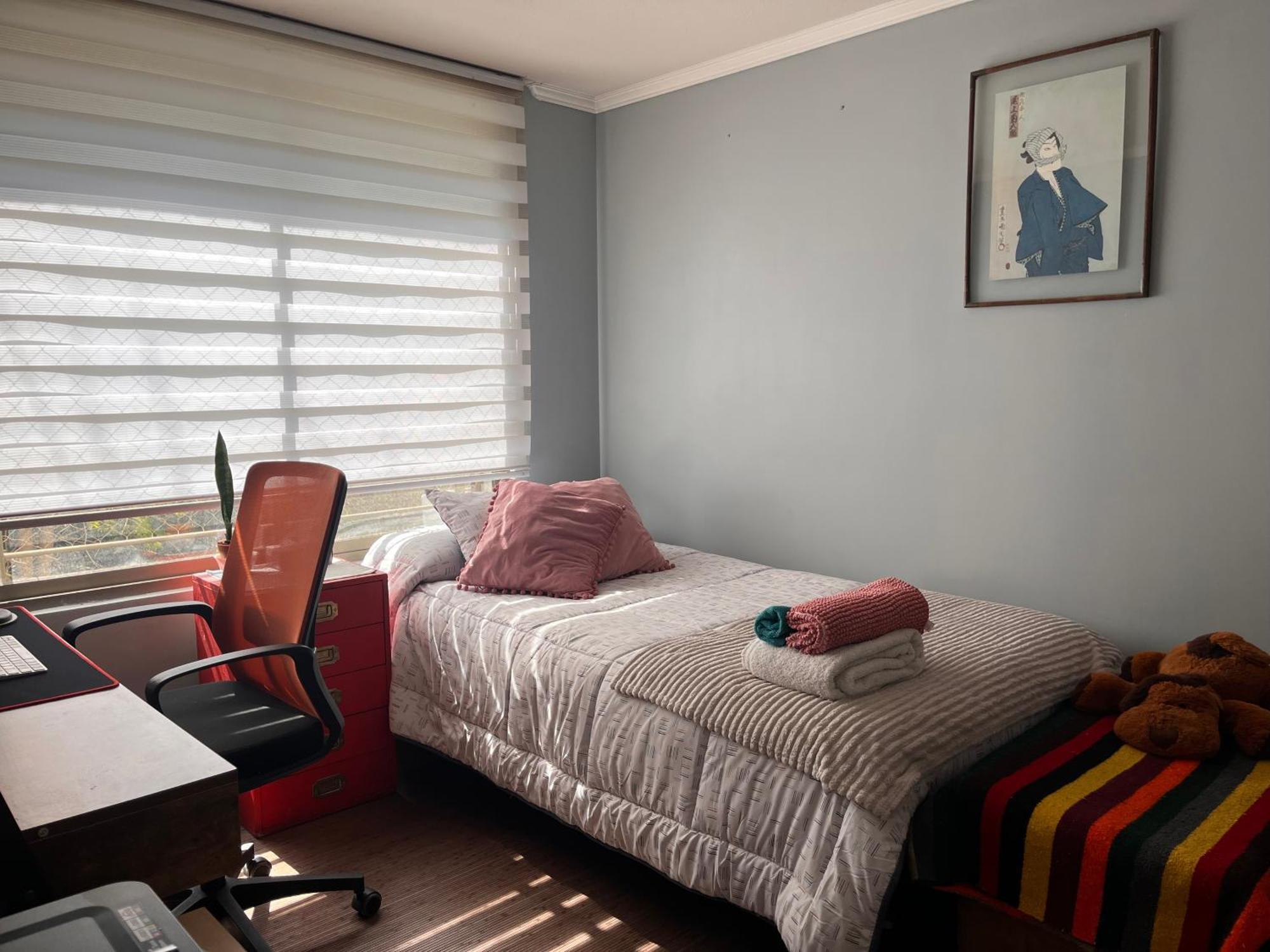 Comodidad Y Perfecta Ubicacion Homestay Santiago