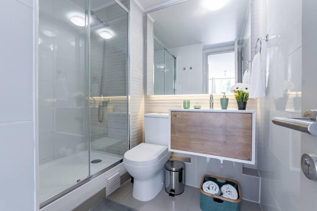 Apartment Estilo Y Confort En Santiago