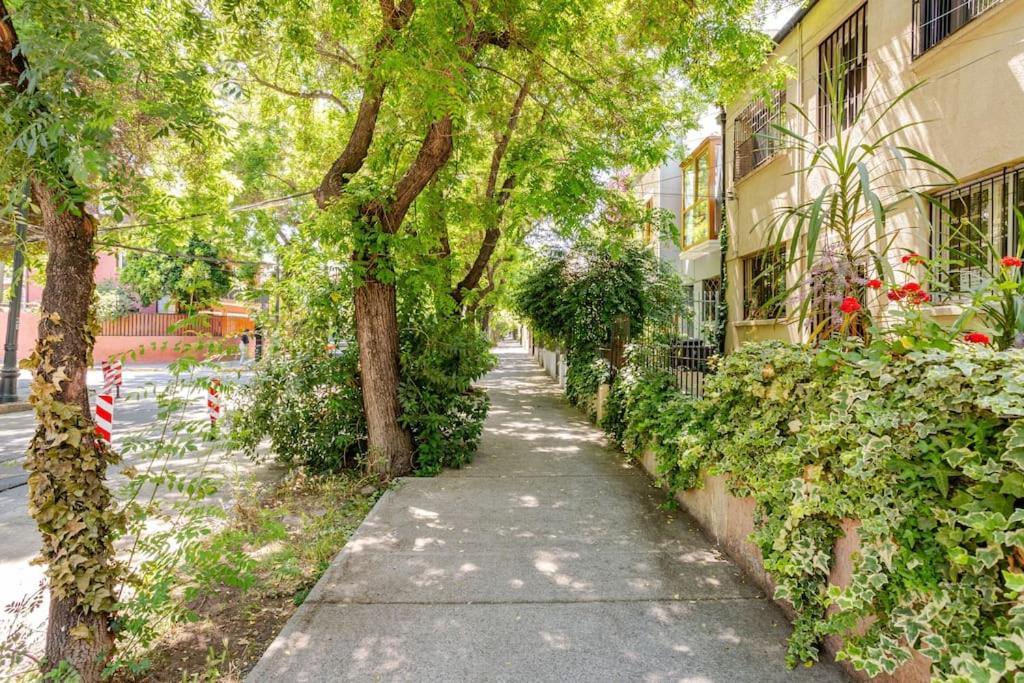 Apartment Charming 1 Bed In The Heart Of Providencia
