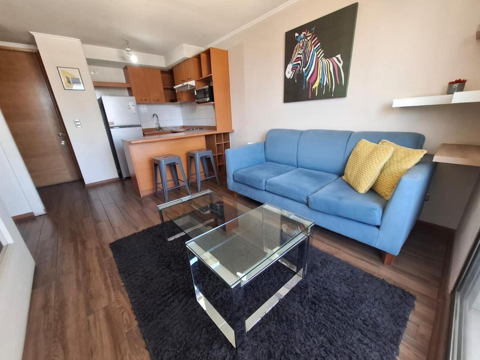 Apartment Departamento Lastarria