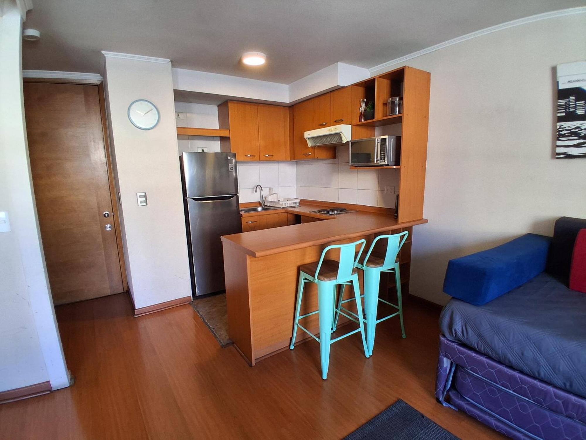 Apartment Lastarria Downtown Santiago