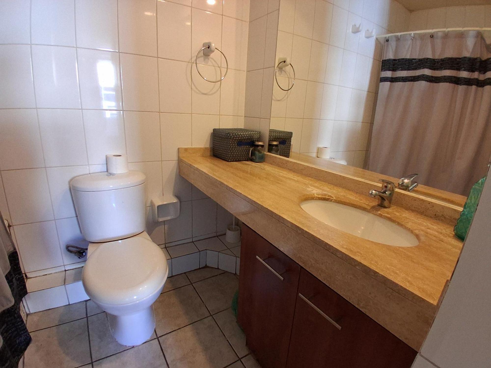 Lastarria Downtown Apartment *