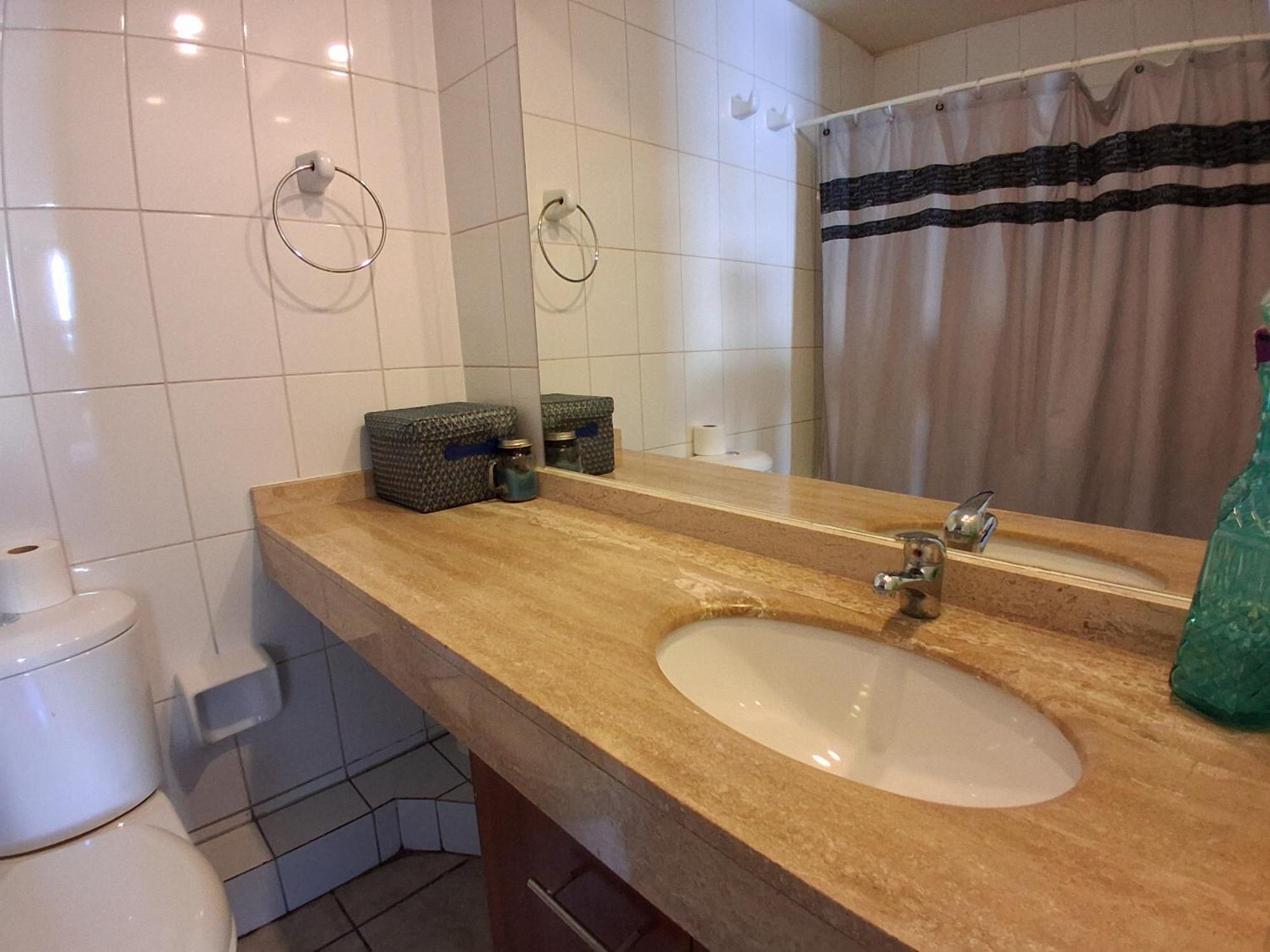 Apartment Lastarria Downtown *