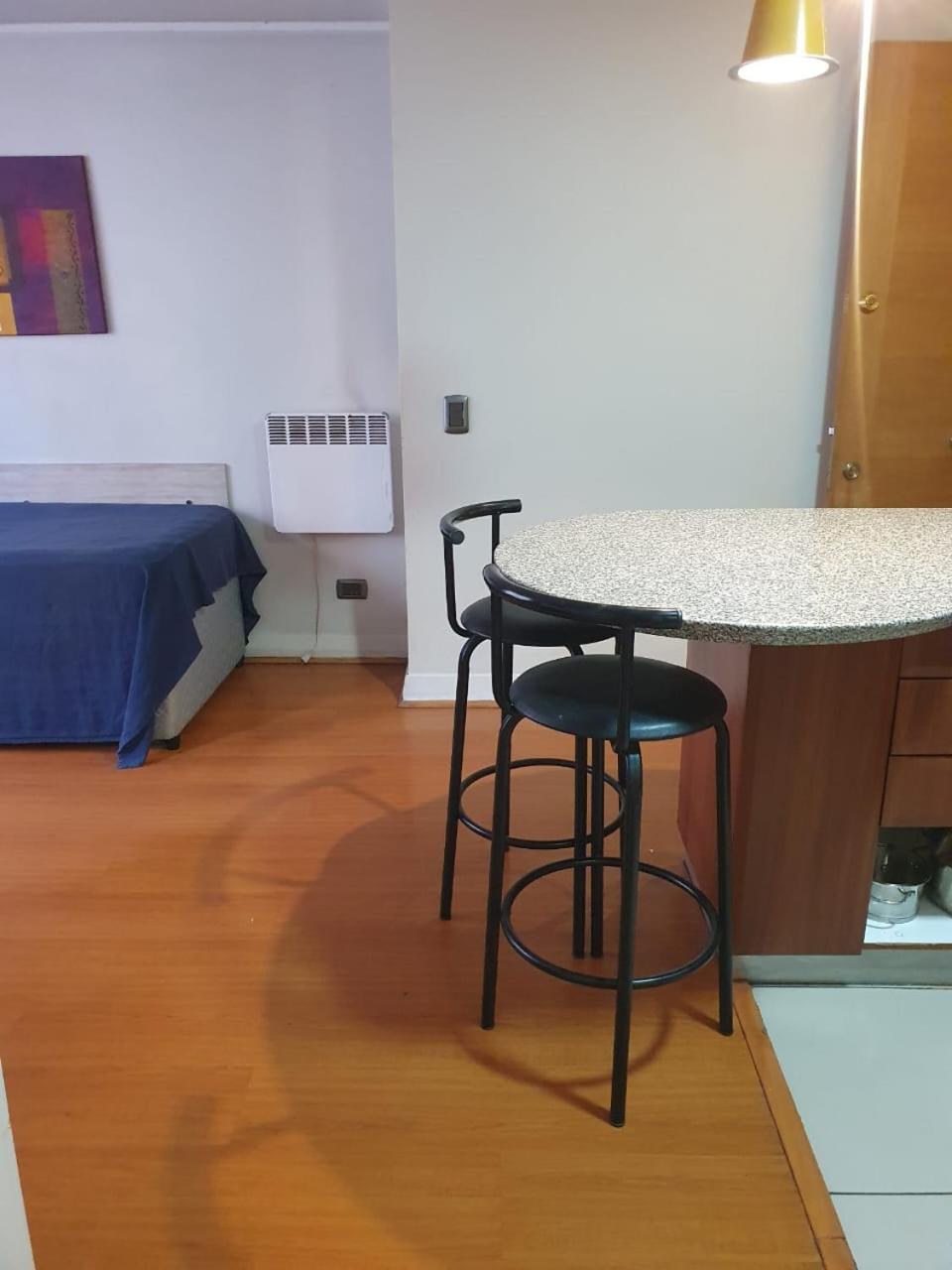 Departamento En El Corazon De Providencia, Entre Metro Leones Y Pedro De Valdivia Apartamento Santiago