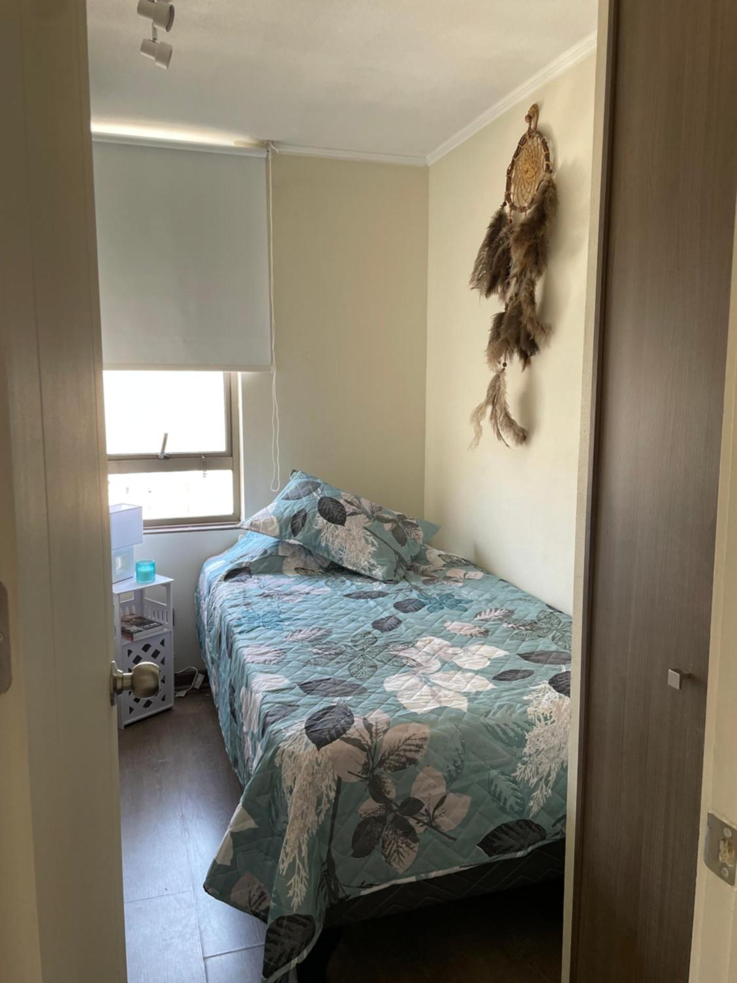 Apartment Zen *