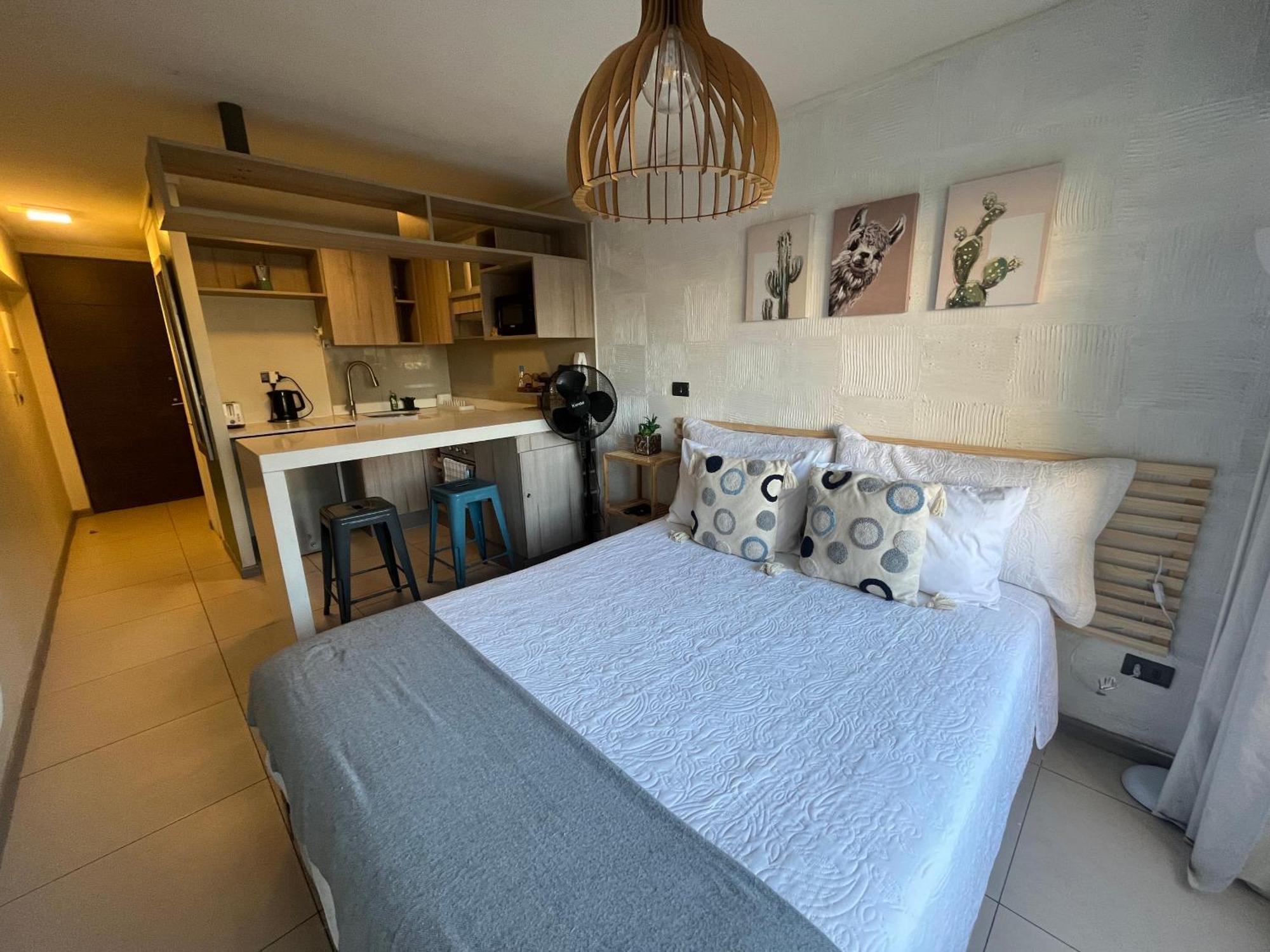 Lindo Departamento Tipo Loft En Nunoa * Santiago