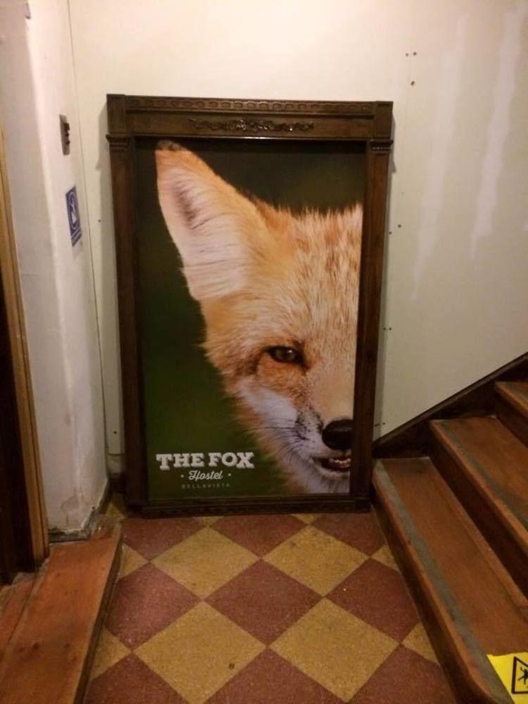 The Fox 2*