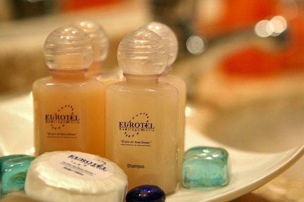 Hotel Eurotel Providencia 3*