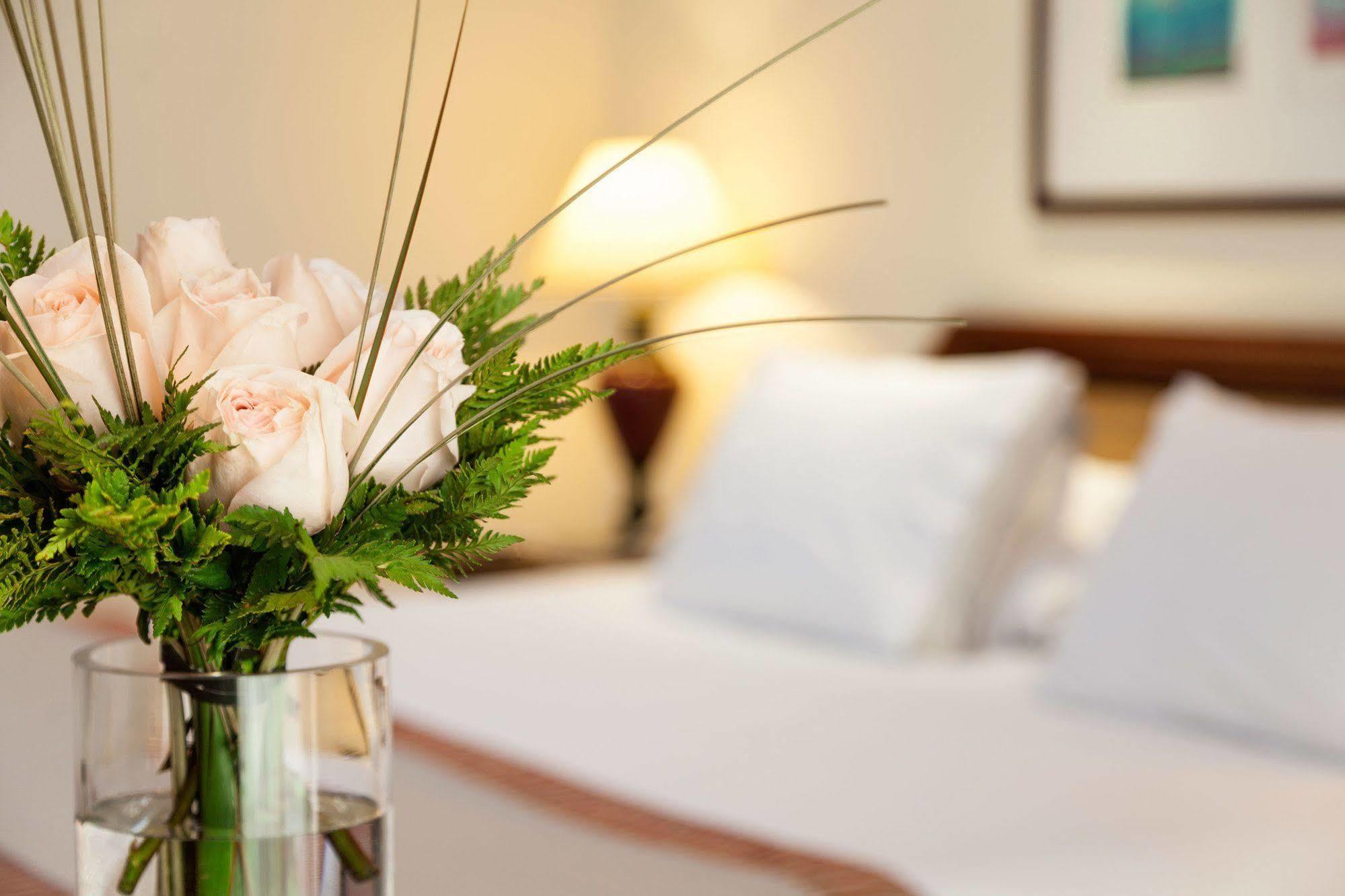 Plaza San Francisco 5*