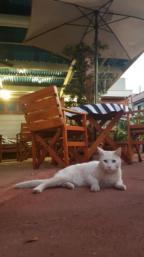 Casaltura Nhà trọ Santiago