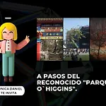 Comodo Y Acogedor Apartamento En Santiago Centro